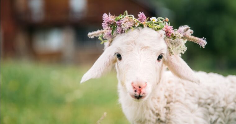 The animal symbols of Christian Easter