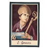 saint januarius tapestry measuring 65x45cm